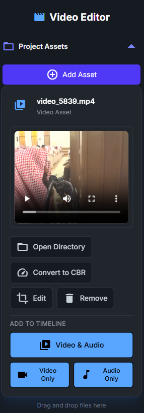 Asset panel showing imported files with thumbnails, duration, file size, and action buttons